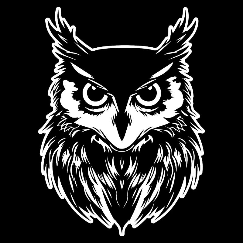 Eule Eulen Vogel Vögel