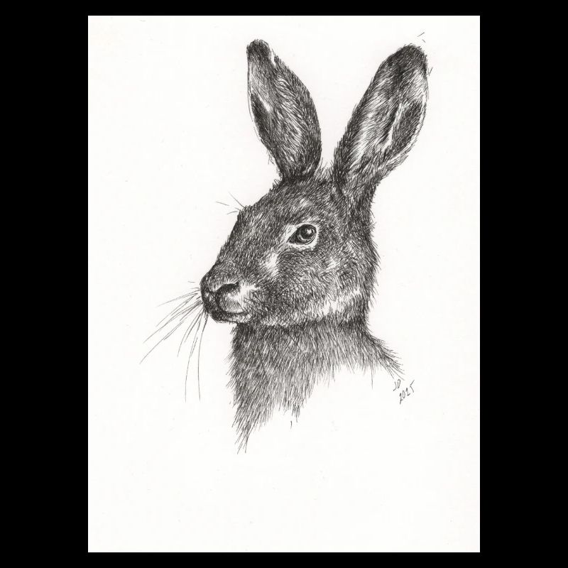 Not just another Rabbit