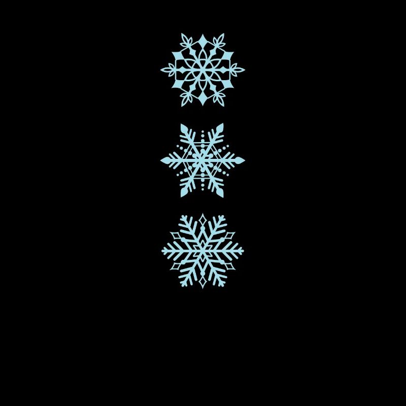 Snowflakes in different types Winter