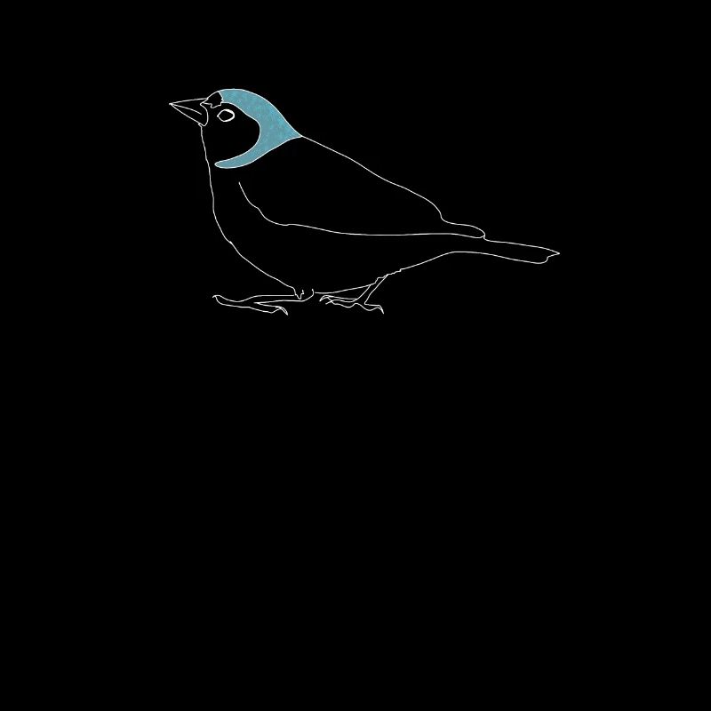 Buchfink