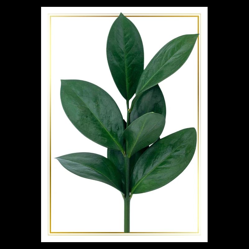Branche verte avec bordure dorée