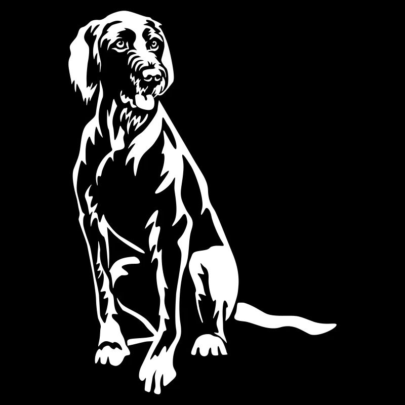 Magyar Vizsla "Black Edition"