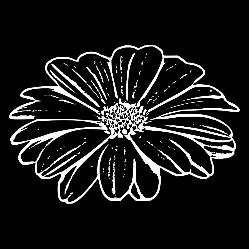 Blume weiß weiße Blumen Geschenk Muttertag Mutter