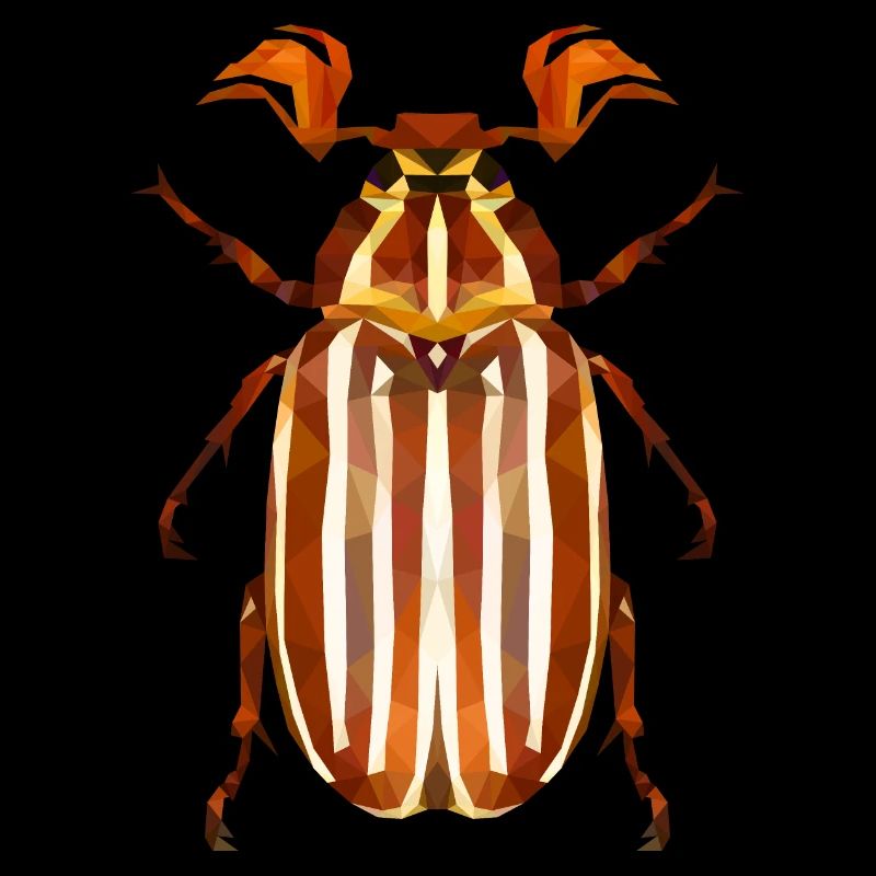 Coléoptère de la pastèque