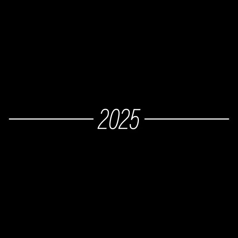 2025 year