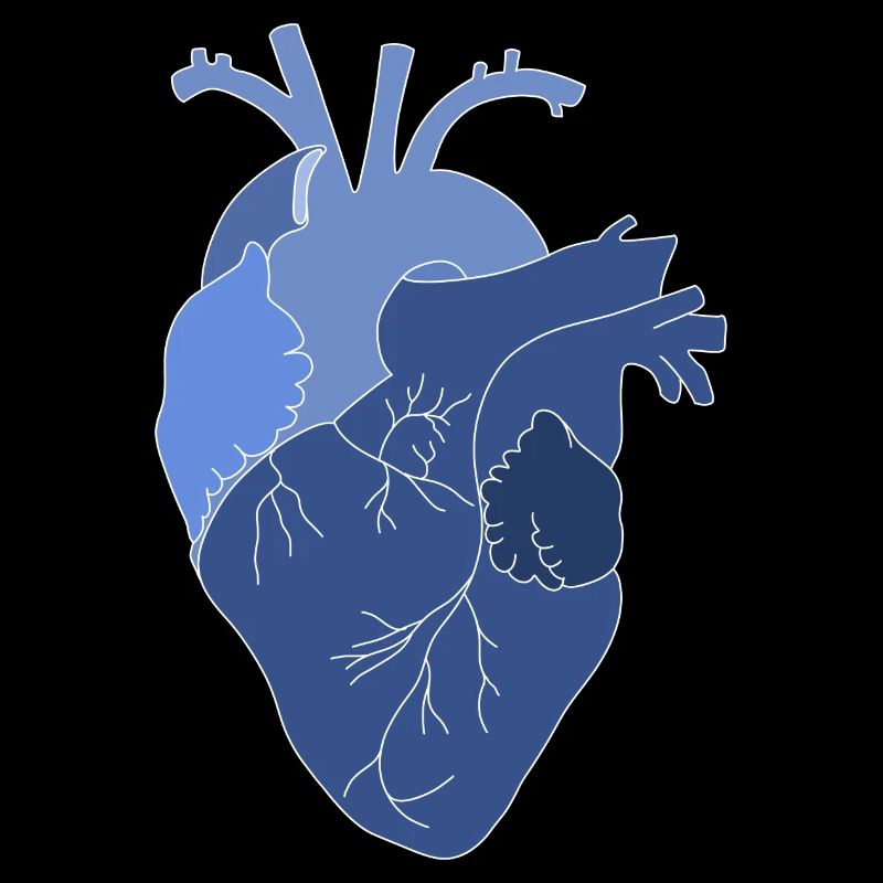 anatomisches Herz, Outline weiß