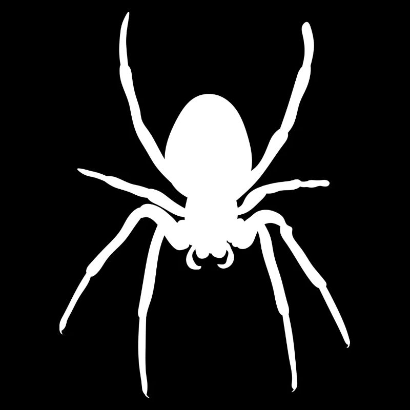 Spider Spinne