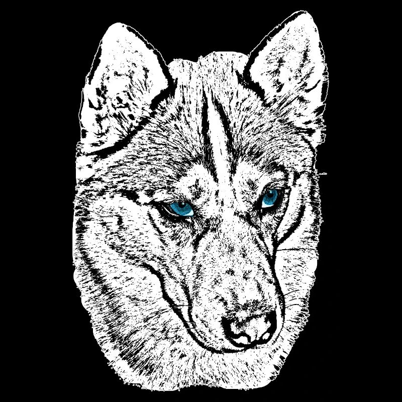 Wolf Head Drawing Blue Eyes