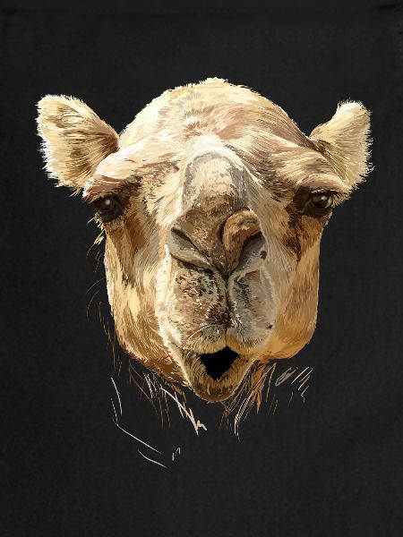 kamel