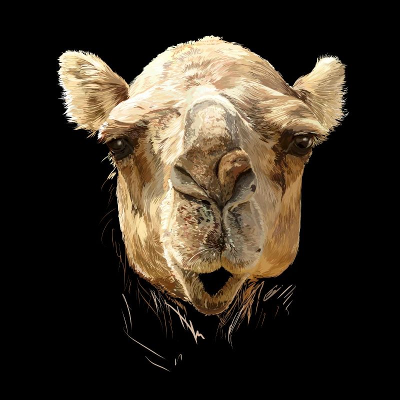 Camel