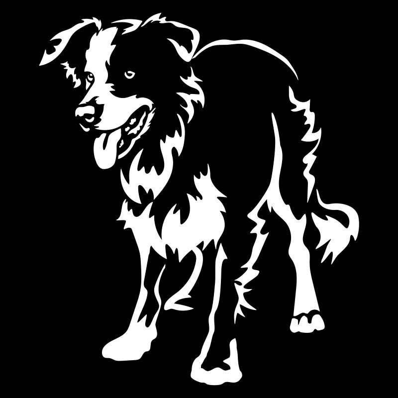 Border Collie "Black Edition"