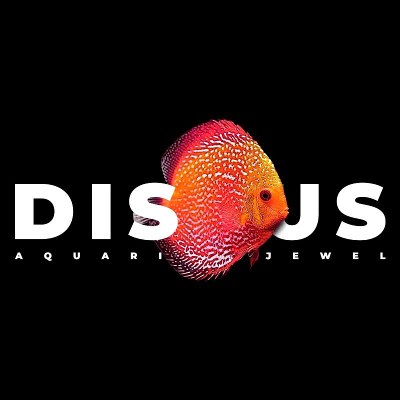 Diskusbuntbarsch Fischhalter