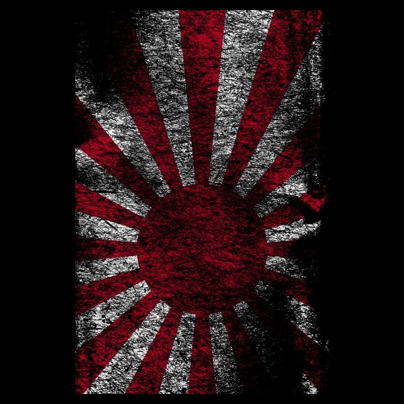 Japan flag history