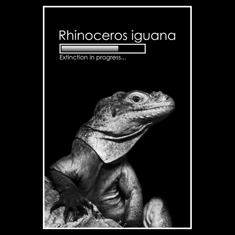 Extinction in progress