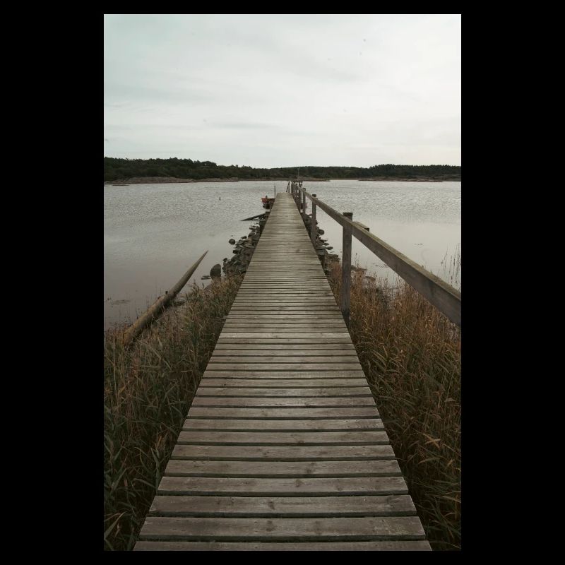 bridge