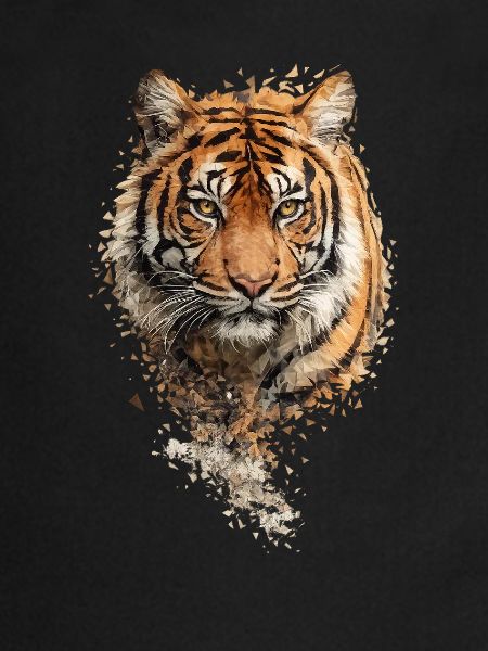 Fragment d’aquarelle de tigre