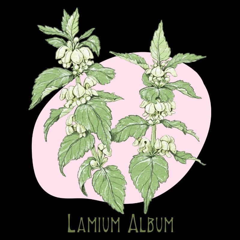 Light white botanical drawing