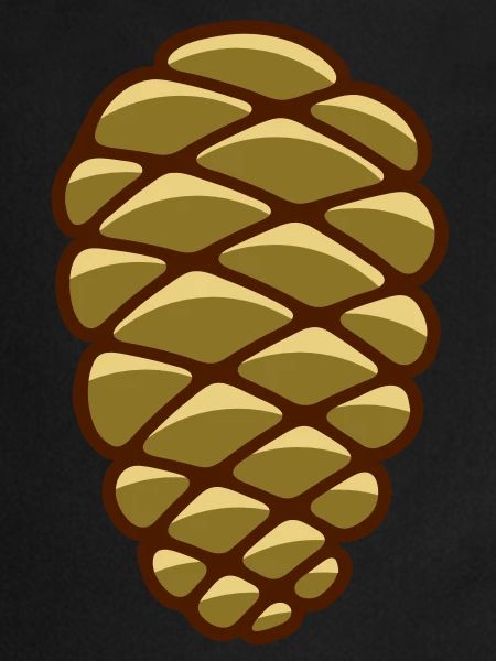pine cone