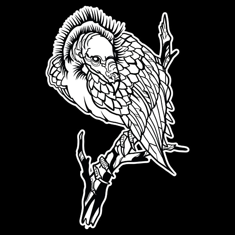 Vulture // Illustration