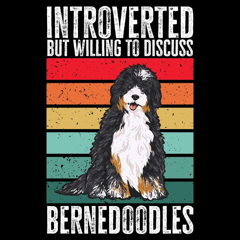 Bernedoodle Dog
