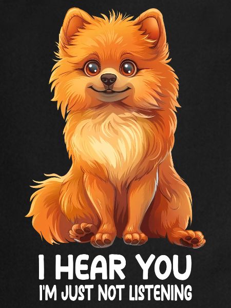 Dwarf spitz