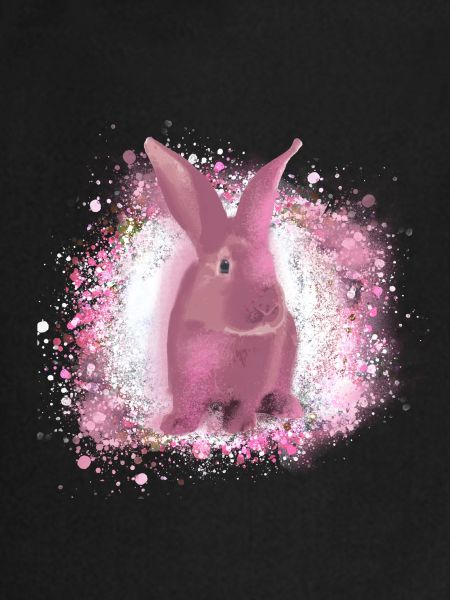 rabbit,graffiti,painting,pet,rabbit,pink