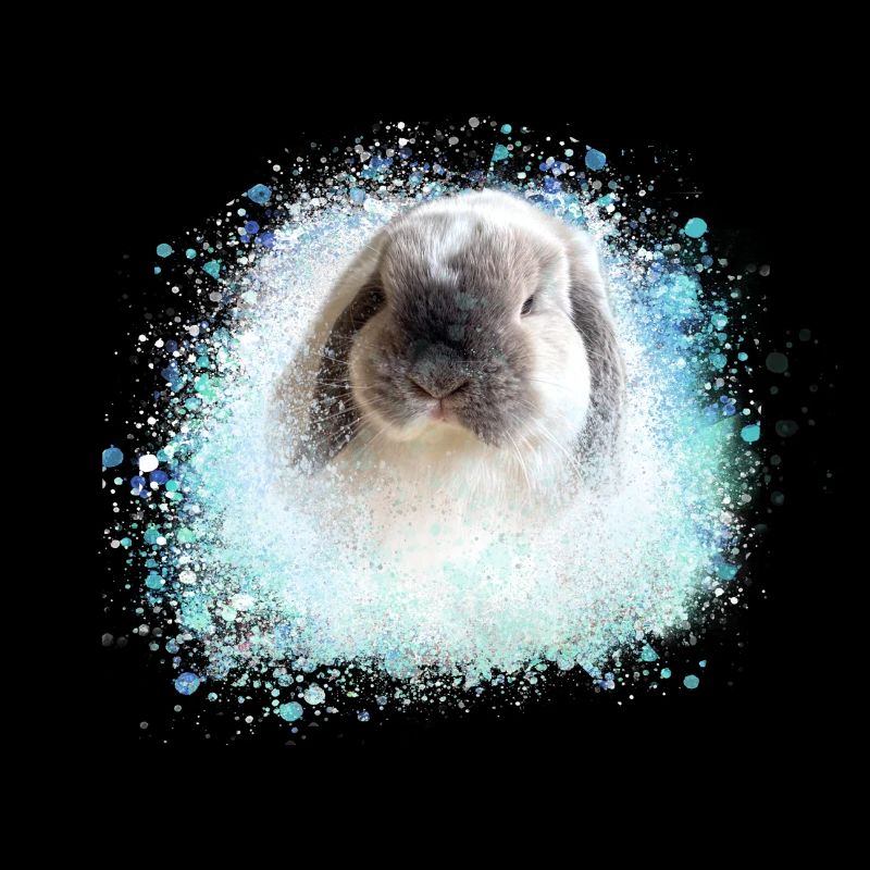 floppy ear, rabbit, graffiti, pink, rabbit