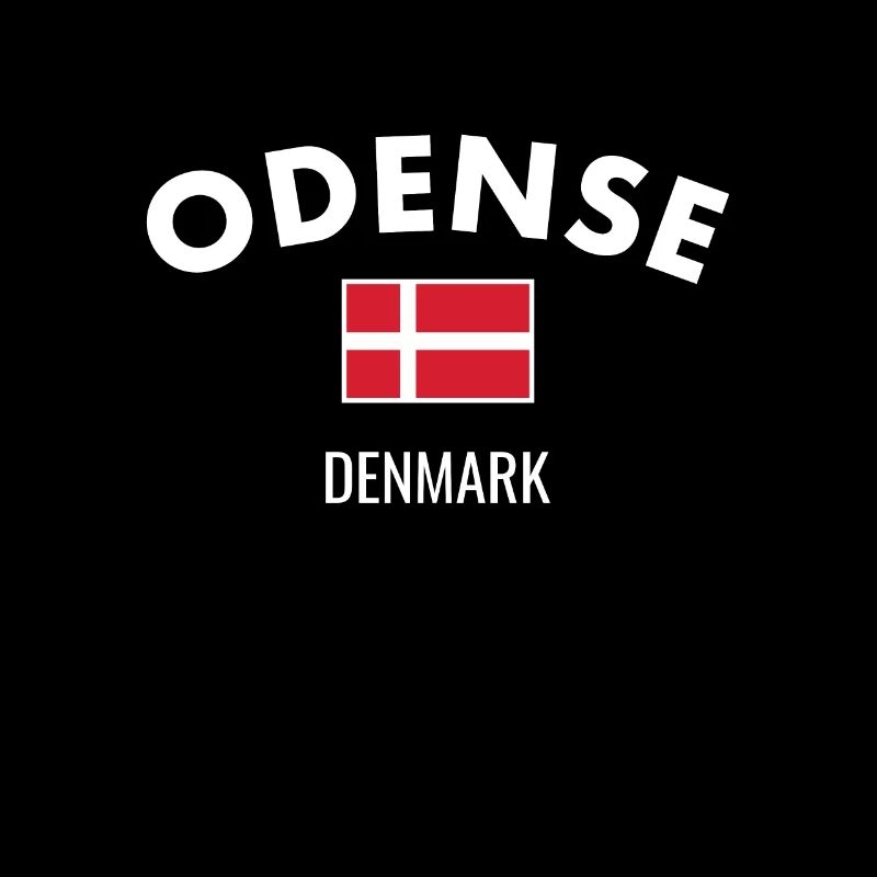 Odense Dänemark Dänische Flagge Stolzer Däne