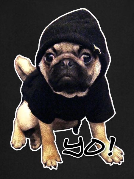 yo_mops_3