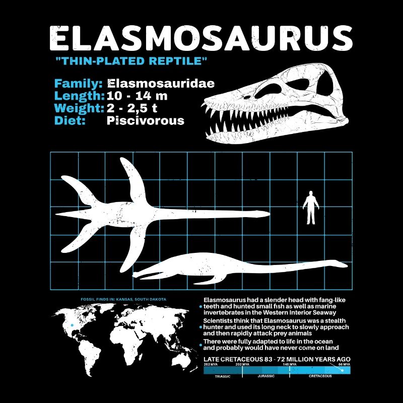 Fiche d’information sur Elasmosaurus