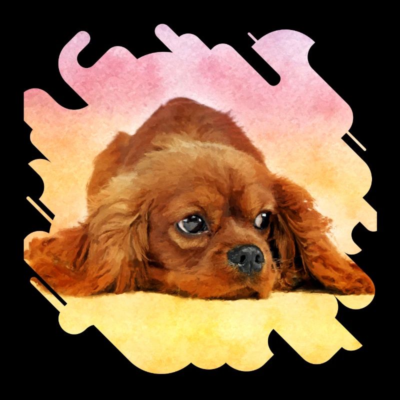 Cavalier King Charles Spaniel