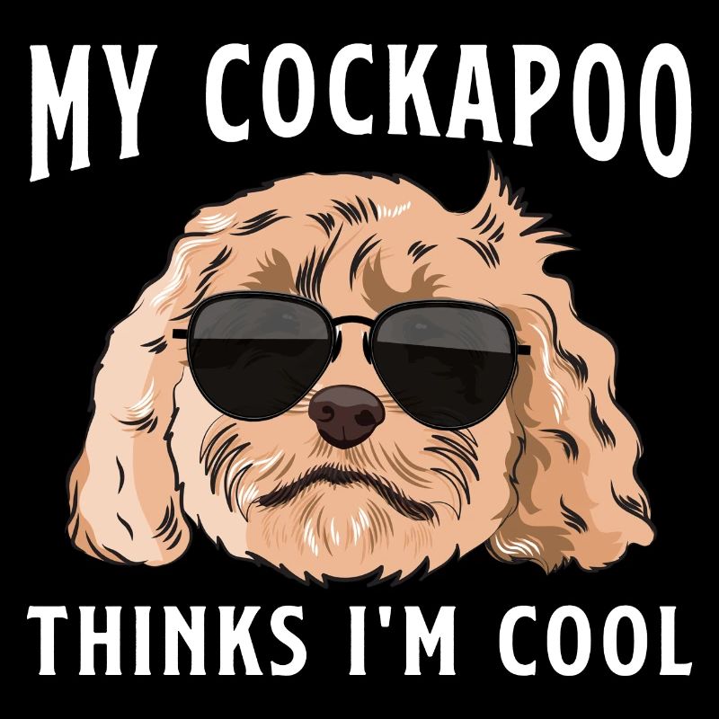 Cockapoo Hund