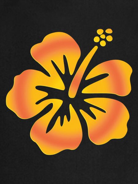Hibiscus jaune