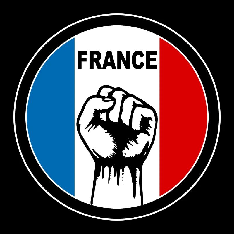 france logo