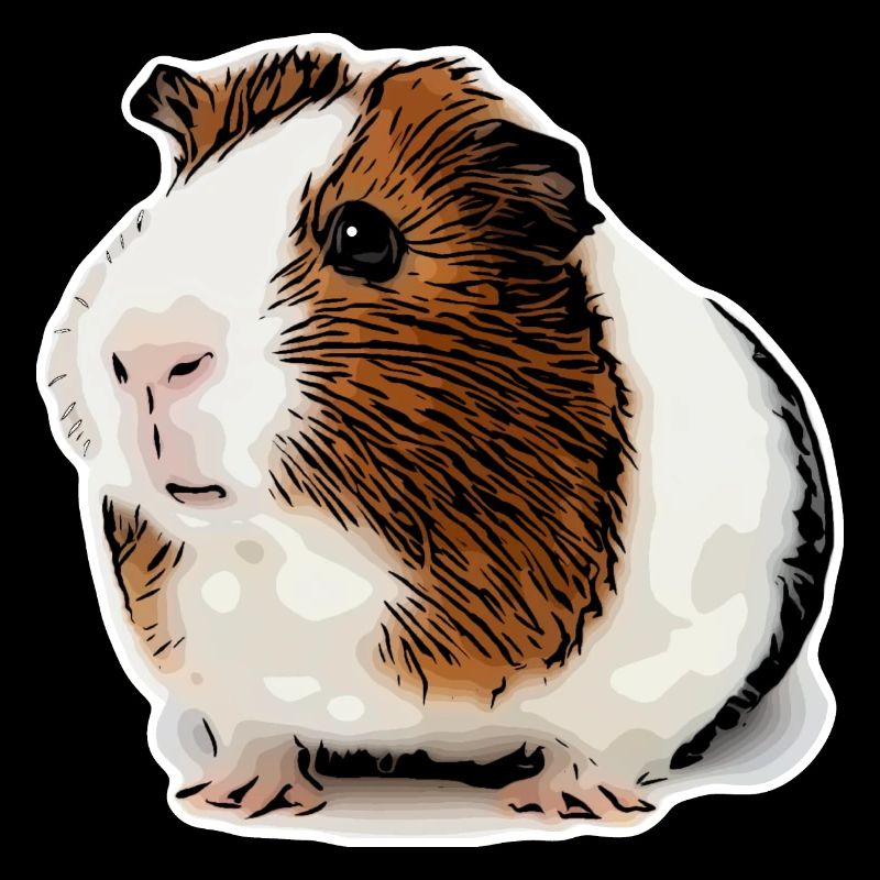 cochon d’Inde doux