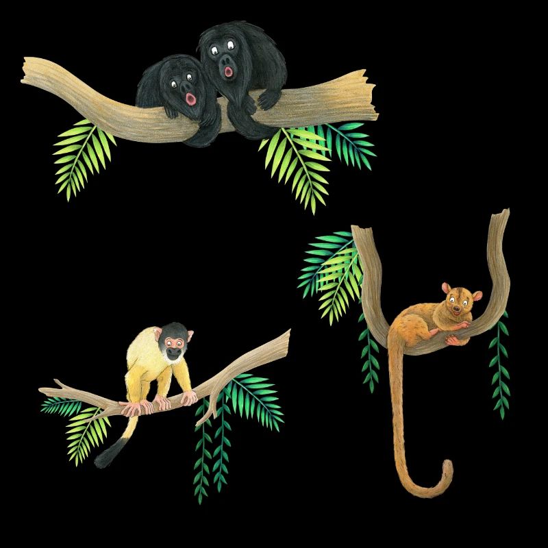 funny monkeys