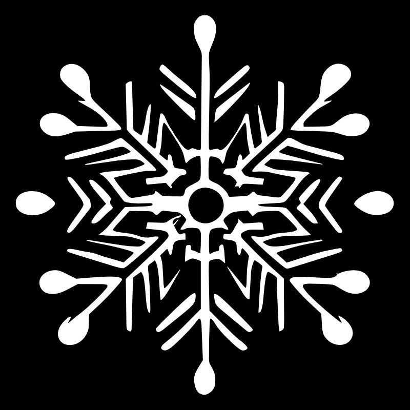 Snowflake Snow Winter Christmas Vector 2
