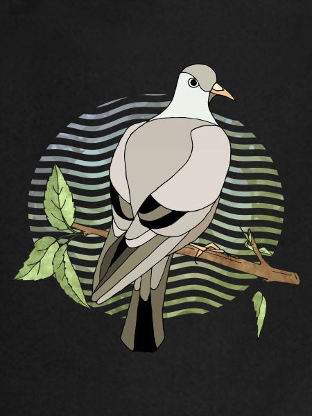 Oiseau