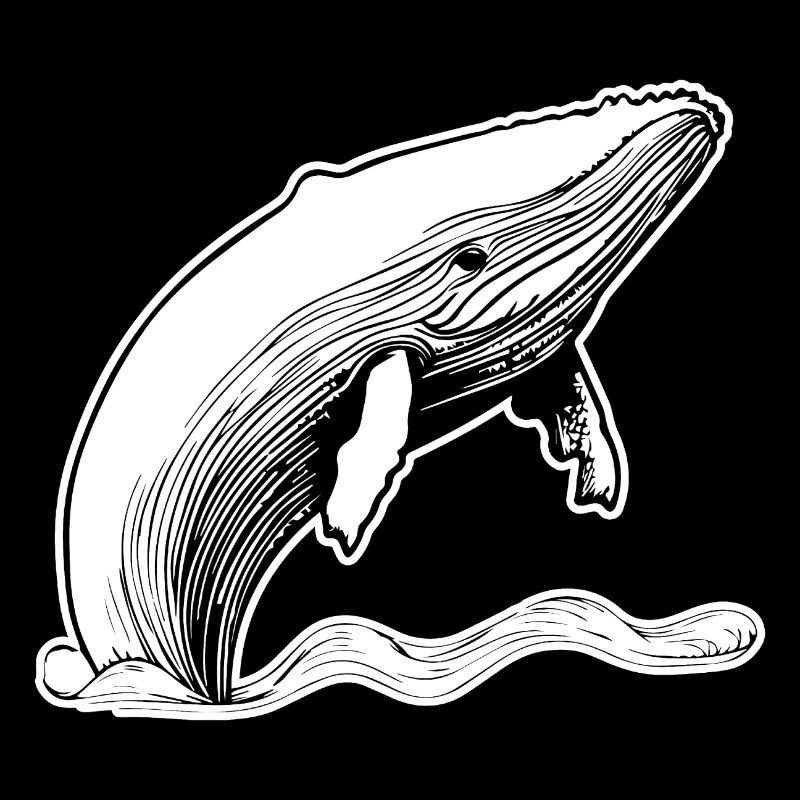 Whale Sea Fish