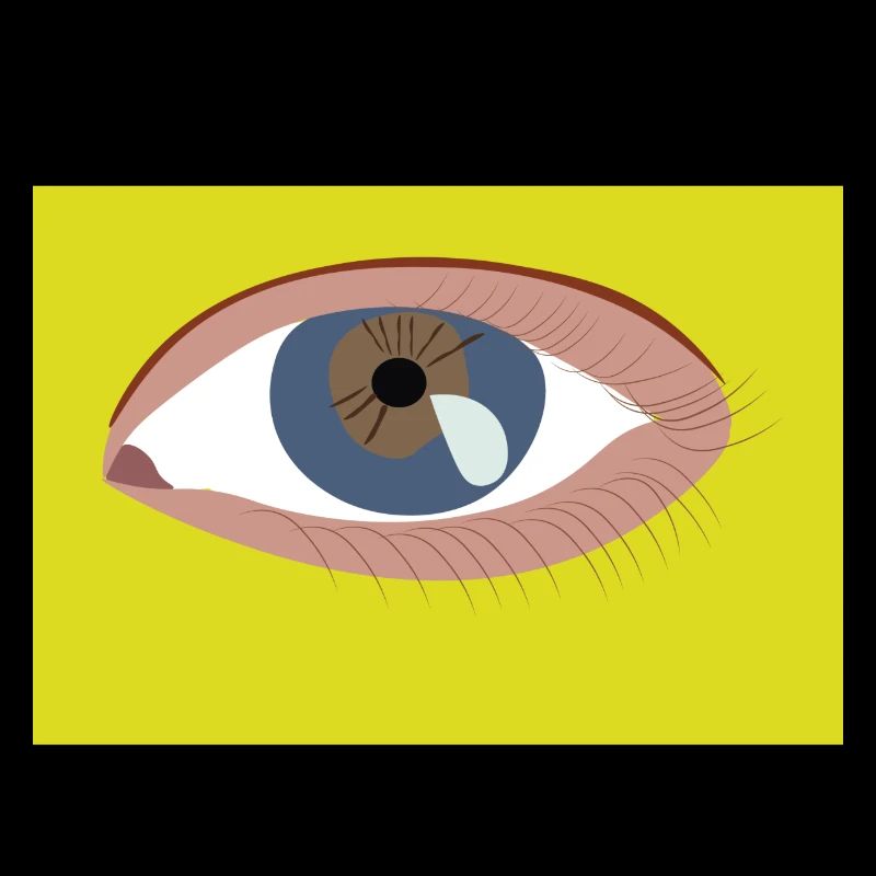 Oeil