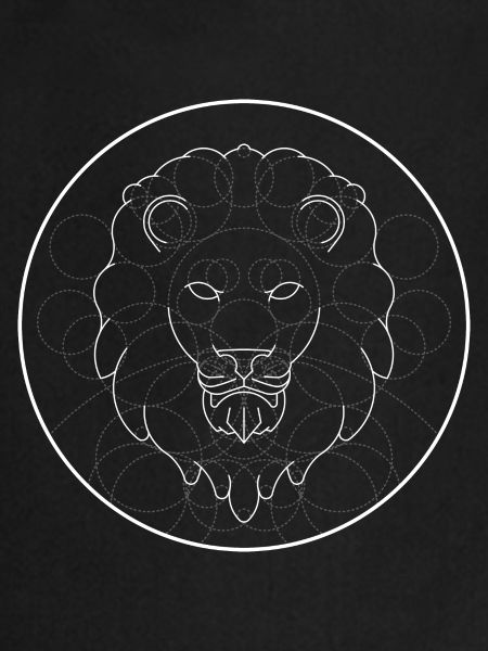 Lion - Light