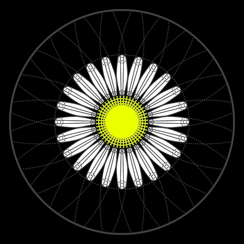 Gänseblümchen - Dunkel