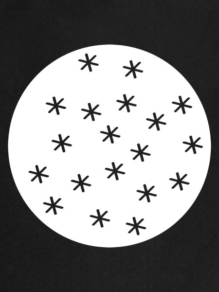 snow flakes