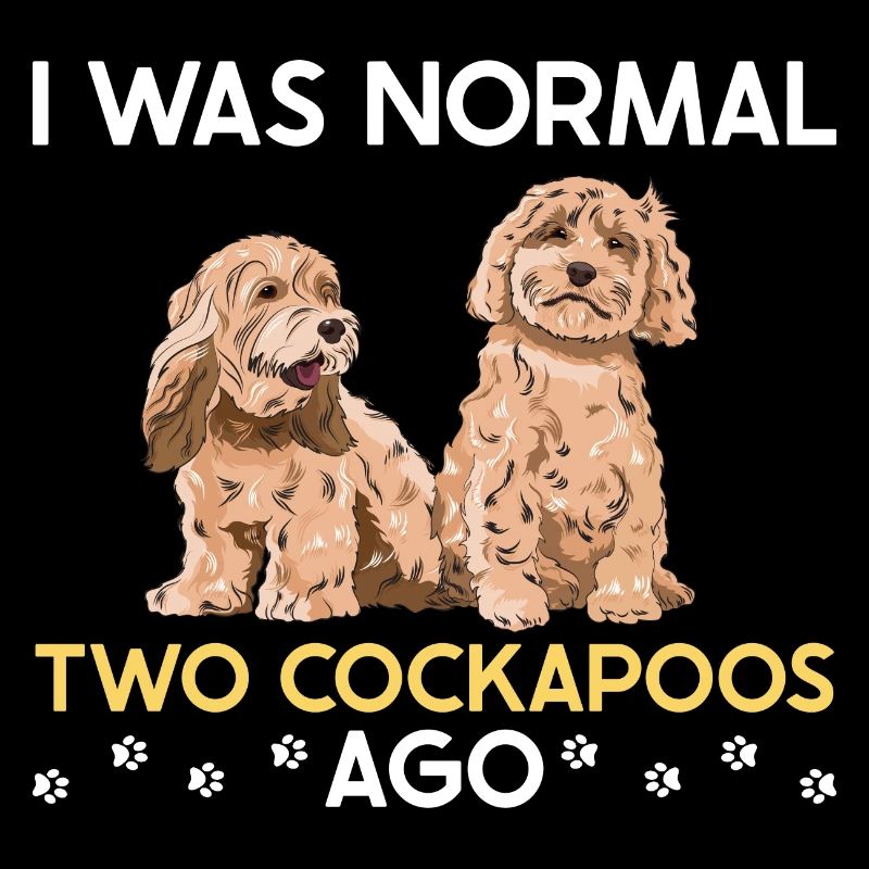 Cockapoo Chien