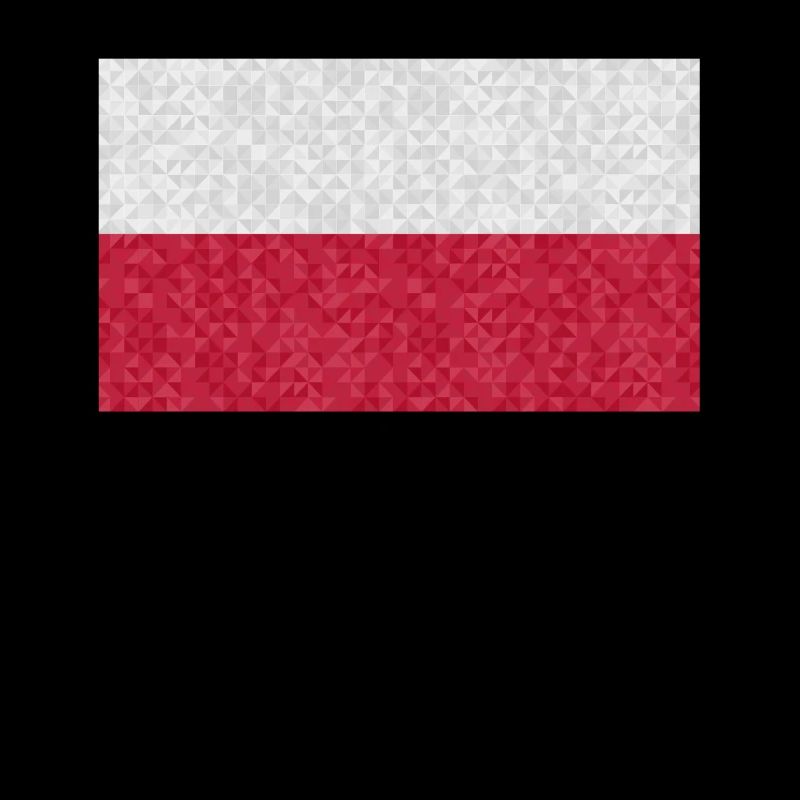 POLOGNE Drapeau polonais dans le style 3D