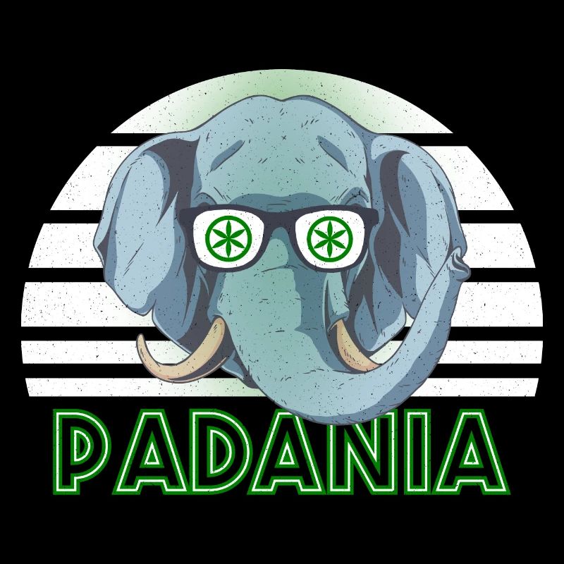 Padanie
