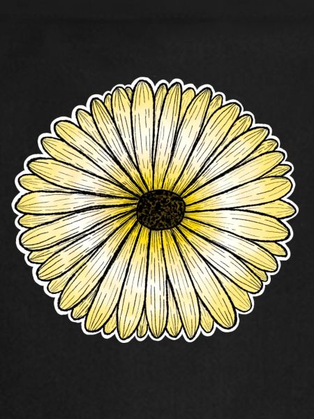 Yellow daisy