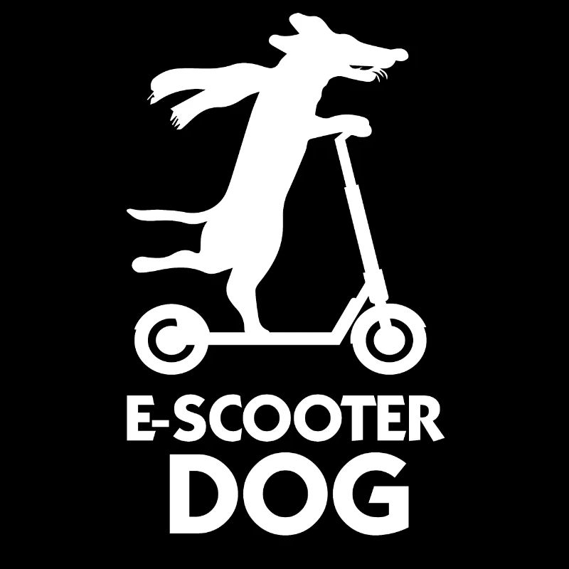 E-Scooter Roller Scooter