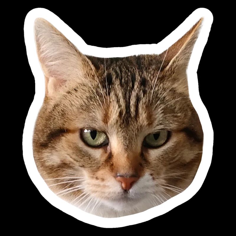Missty sticker triste