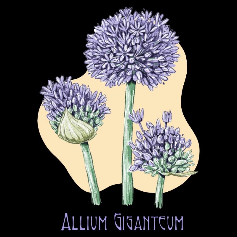 Dessin botanique géant à l’ail